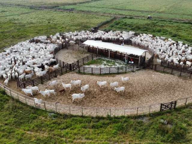 Fazenda à venda na Rodovia dos Tamoios, Bairro da Pernambucana, São José dos Campos, 4460000 m2 por R$ 29.000.000