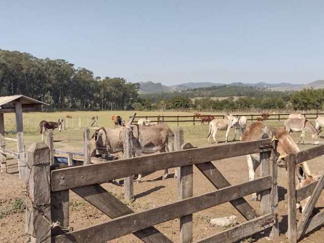 Chácara / sítio com 4 quartos à venda na Rua dos Andradas, Centro, Pindamonhangaba, 170000 m2 por R$ 30.000.000