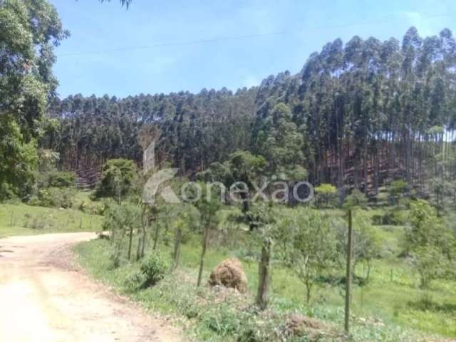 Fazenda à venda na Rua Coronel Camargo, Centro, Paraibuna, 200 m2 por R$ 4.000.000