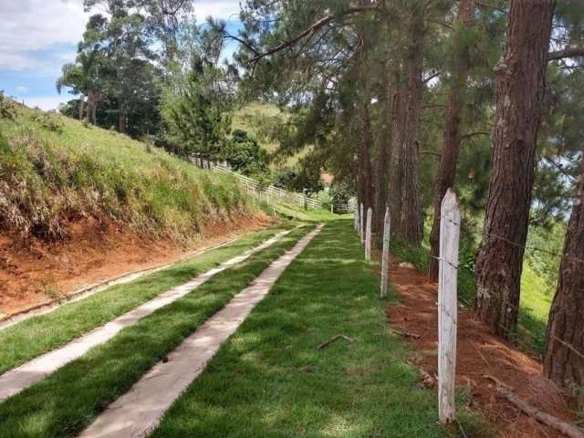 Fazenda à venda na Estrada Municipal do Bairro São João, Freitas, São José dos Campos, 300 m2 por R$ 3.990.000