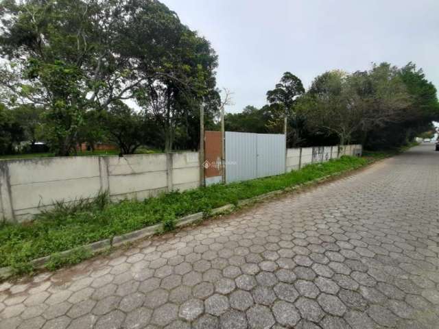 Terreno à venda na Rua Laureano, 1325, Campeche, Florianópolis, 218 m2 por R$ 550.000