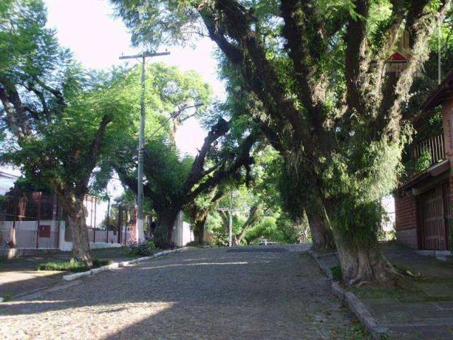 Terreno residencial à venda, Bairro Vila Ipiranga, Porto Alegre.