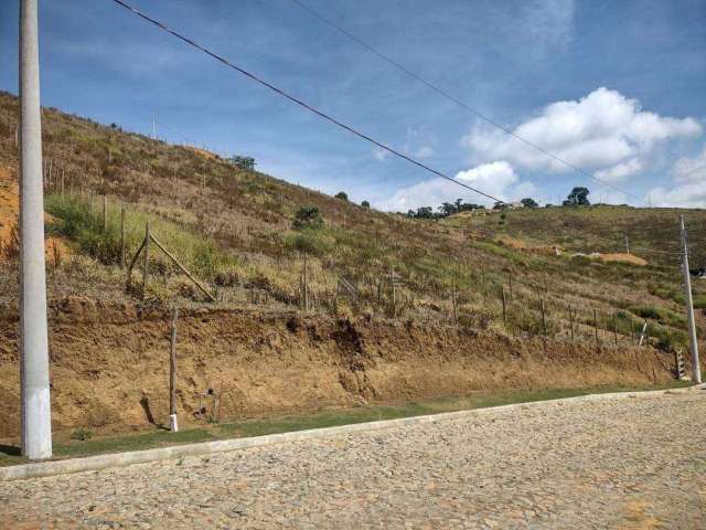 Terreno à venda, 618 m² por R$ 99.000,00 - Filgueiras - Juiz de Fora/MG