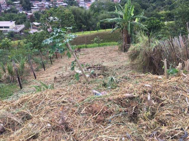 Terreno à venda, 240 m² por R$ 80.000 - Terras Altas - Juiz de Fora/MG