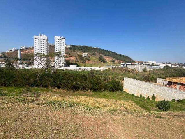 Terreno à venda, 440 m² por R$ 225.000,00 - Spinaville - Juiz de Fora/MG