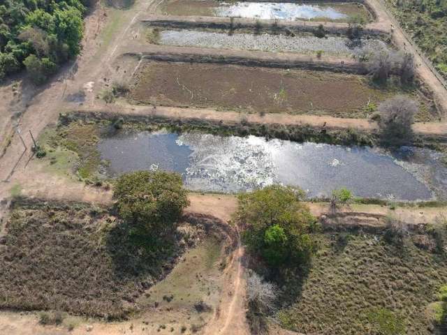 Sítio à venda 72.600m² - Frente a Rodovia SP340 KM 137 Tanquinho Velho, Jaguariúna, SP