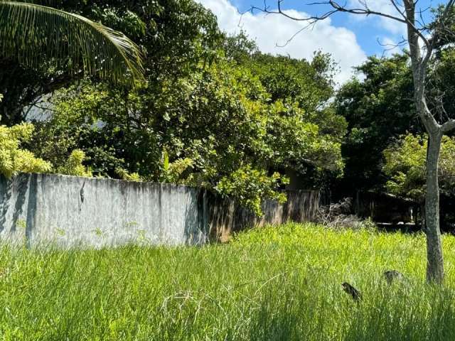 Lote 1.050 m2 no Buscaville e Busca Vida