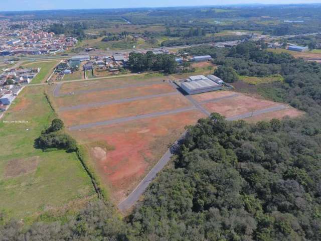 Terreno Residencial para Venda em Fazenda Rio Grande, Eucaliptos