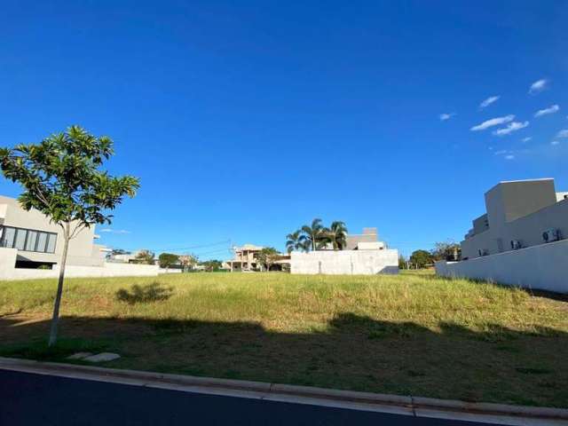 Raridade - 2 lotes juntos  - 749,24 m²