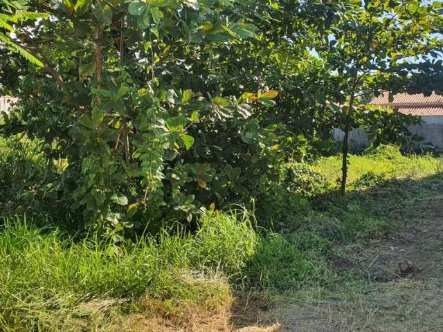 Terreno à Venda, Jaconé (Sampaio Correia), Saquarema, RJ