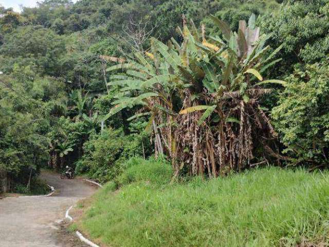 Terreno à venda, 470 m² por R$ 600.000,00 - Córrego Grande - Florianópolis/SC