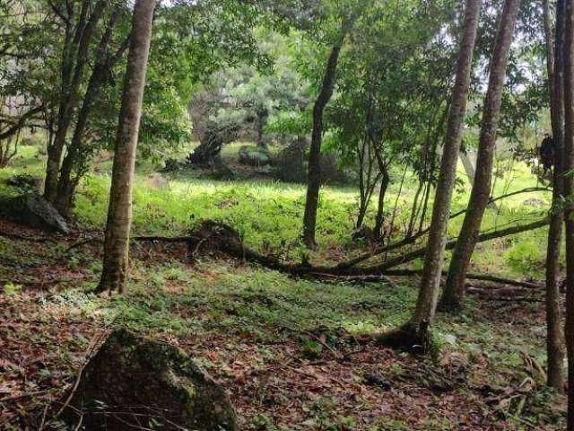 Terreno à venda, 471 m² por R$ 371.000,00 - Córrego Grande - Florianópolis/SC