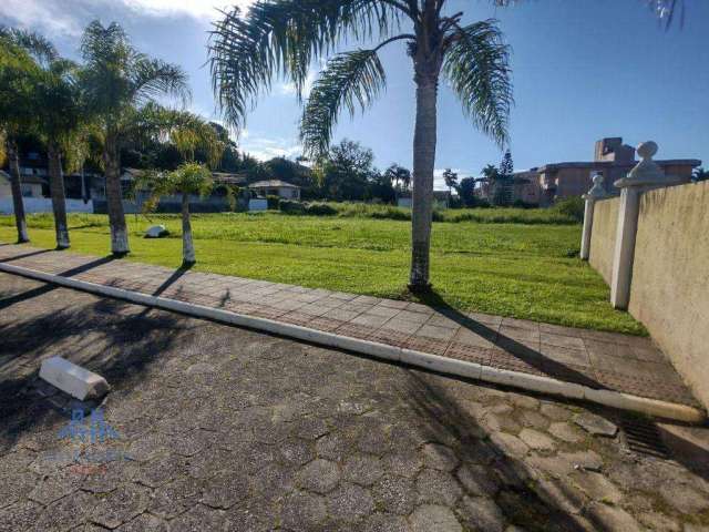 Terreno à venda, 600 m² por R$ 1.000.000,00 - Canasvieiras - Florianópolis/SC