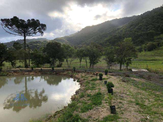 Terreno à venda, 39000 m² por R$ 380.000,00 - Zona Rural - Bom Retiro/SC