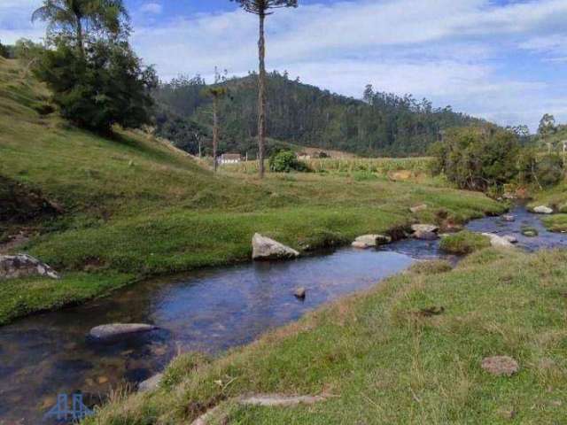 Terreno à venda, 100000 m² por R$ 477.000,00 - Centro - Angelina/SC