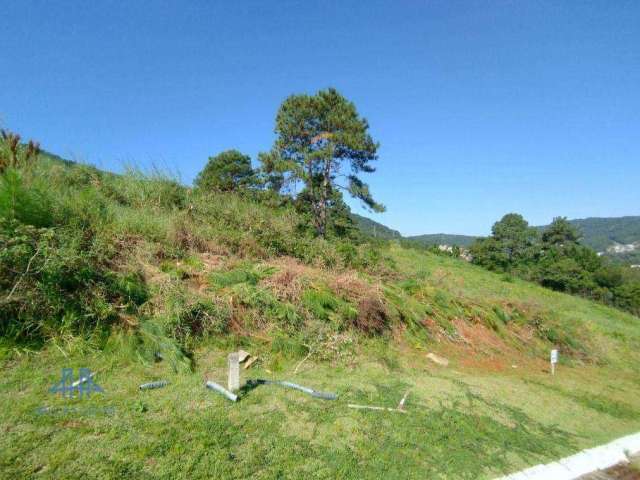 Terreno à venda, 450 m² por R$ 1.298.000,00 - Itacorubi - Florianópolis/SC