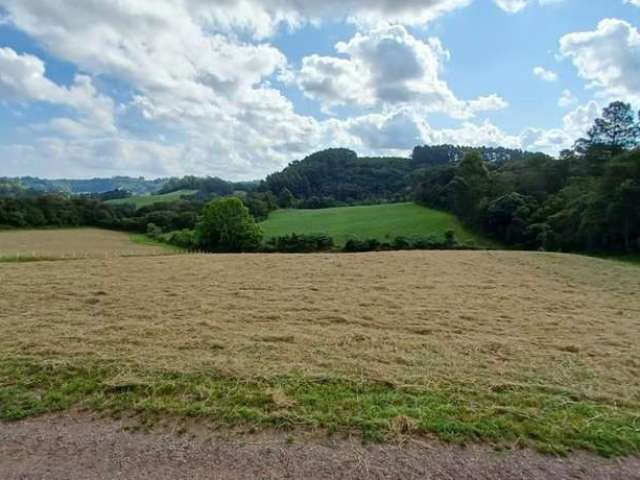 Terreno à venda na Buarque de Macedo, 4085, 6300, Centro, Carlos Barbosa, 66841 m2 por R$ 2.200.000