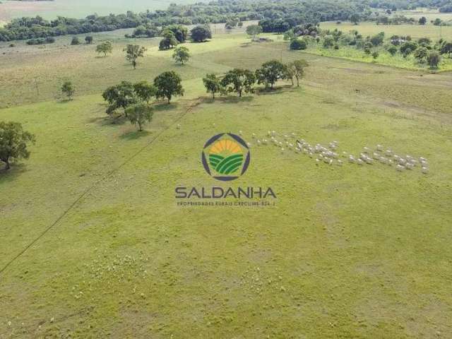 Fazenda para Venda em Terenos, Rural