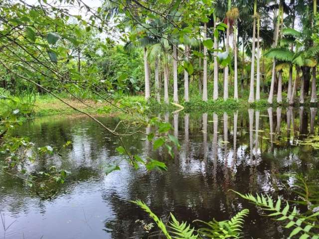 Chácara / sítio com 3 quartos à venda na Perequê, 16, Zona Rural, Balneário Barra do Sul por R$ 880.000