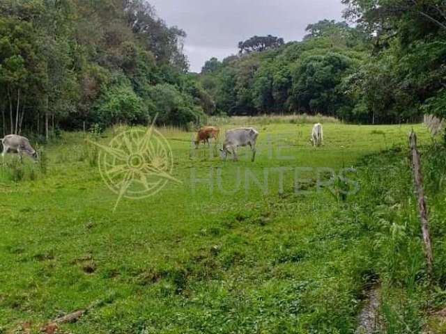 Chácara / sítio com 3 quartos à venda na Avenquinha, 1, Zona Rural, Campo Alegre por R$ 1.320.000