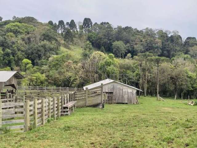 Chácara / sítio com 1 quarto à venda na Avenquinha, 1, Zona Rural, Campo Alegre por R$ 11.666.000