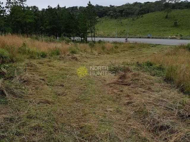 Terreno à venda, 92000 m² por R$ 1.430.000,00 - Laranjeiras - Campo Alegre/SC