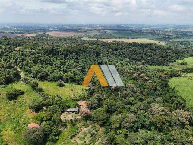 'Fazenda dos Sonhos em SP: Natureza e Tranquilidade'