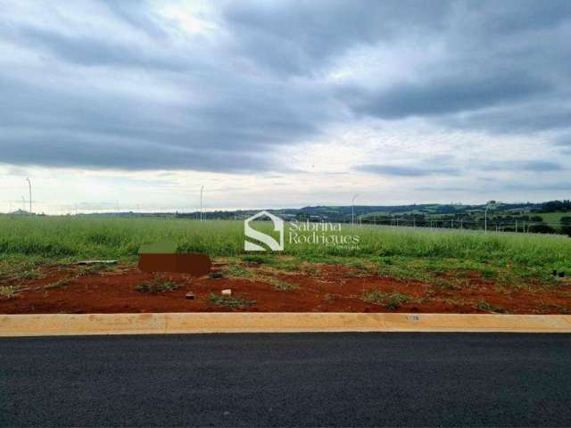 Terreno à venda, 300 m² por R$ 588.000 - Residencial Monte Verde - Indaiatuba/SP