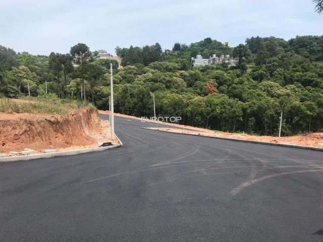 Ótimos terrenos no Santo Antão!