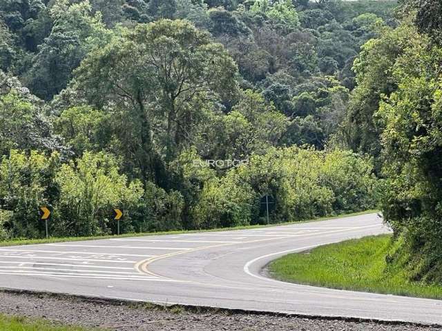 Ampla área de terras com frente para a BR 470!