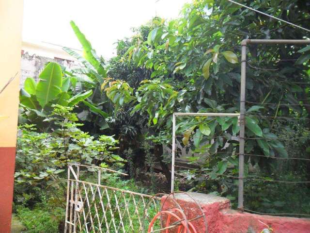 Casa à venda, 3 quartos, 3 suítes, 6 vagas, Santa Maria - São Caetano do Sul/SP