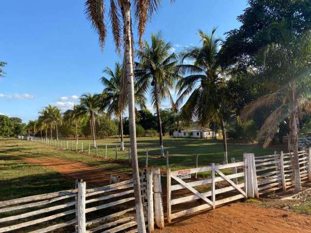 Excelente fazenda em Rochedo/MS