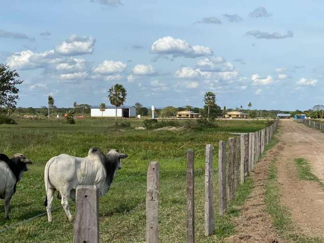 Fazenda de pecuária em porto murtinho