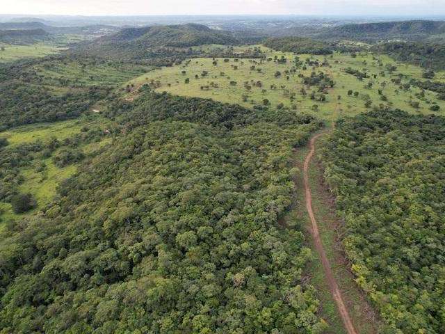 Venda, Fazenda, Zona Rural, Camapuã, MS