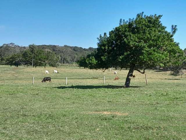 Fazenda em bonito de 83ha com 2km de rio mimoso na propriedade