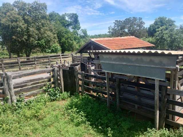 50 hectares a venda em ANASTÁCIO saída pra Campo Grande/MS