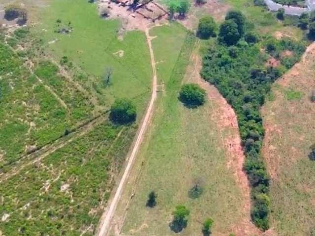 Fazenda rica de agua em Ribas do rio pardo