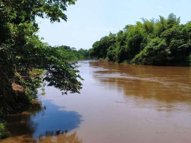 Fazenda a beira do Rio Miranda 700 hectares