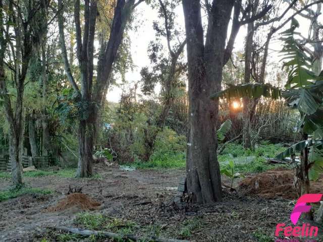 Terreno em condomínio fechado à venda na Rua Pau de Canela, 100, Rio Tavares, Florianópolis por R$ 3.200.000