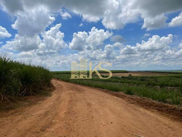 Fazenda à venda no Centro, Santa Bárbara D'Oeste  por R$ 950.000.000