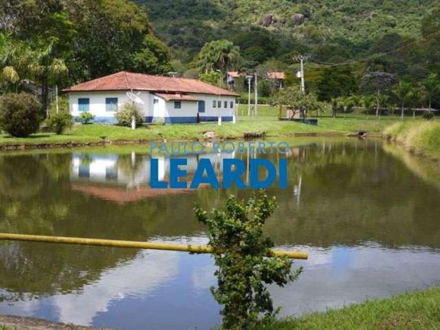 Fazenda - laranja azeda - sp