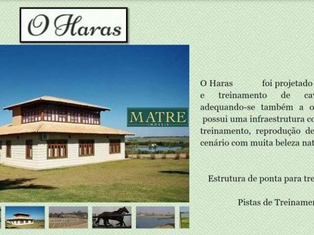 Haras com pista de treinamento e competição