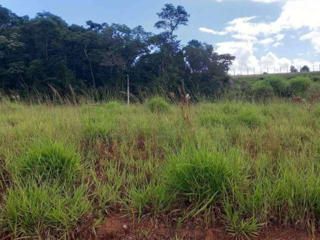 Terreno à venda no loteamento jardim das flores, santana de parnaíba.