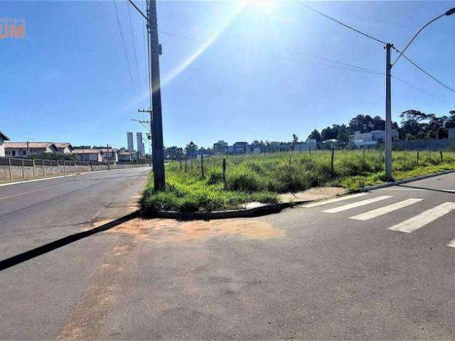 Terreno de esquina com 361,26 m2 à venda em Novo Hamburgo.