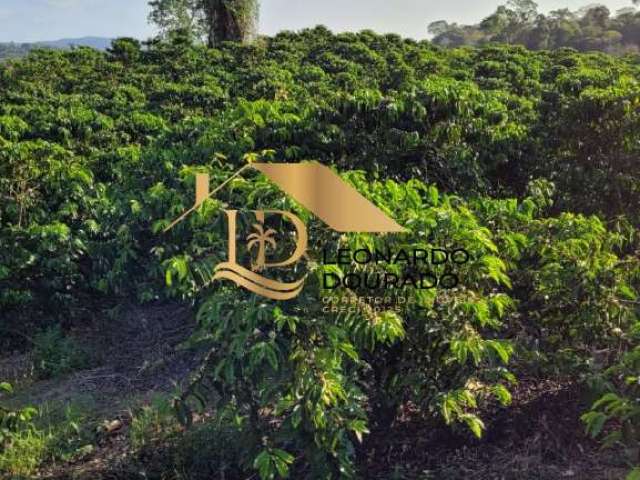 Fazenda com 2 salas à venda na SANTA LUZIA, Zona Rural, Santa Luzia, 100 m2 por R$ 7.000.000