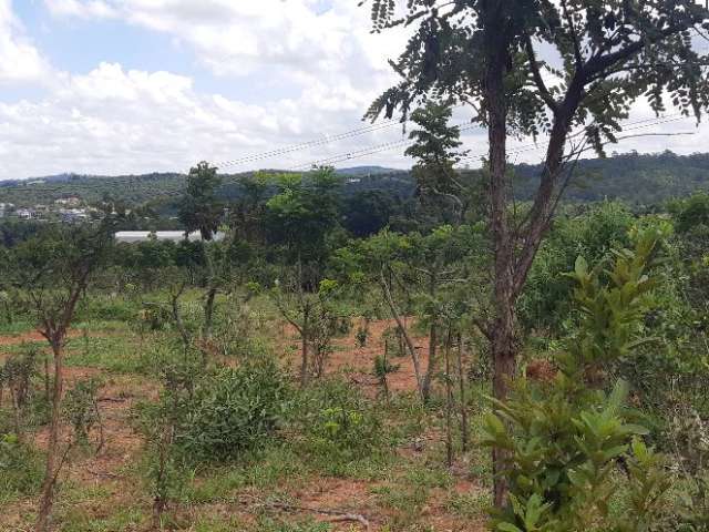 lote industrial 10.000 m2 jarinu