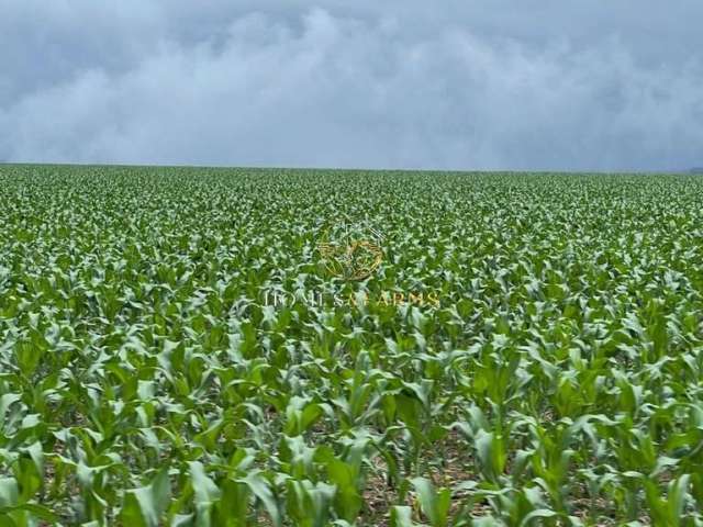 Fazenda a venda em nobres-mt