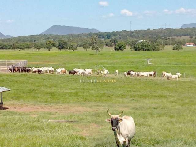 Fazenda 1.240 hectares Município rosário Oeste-MT