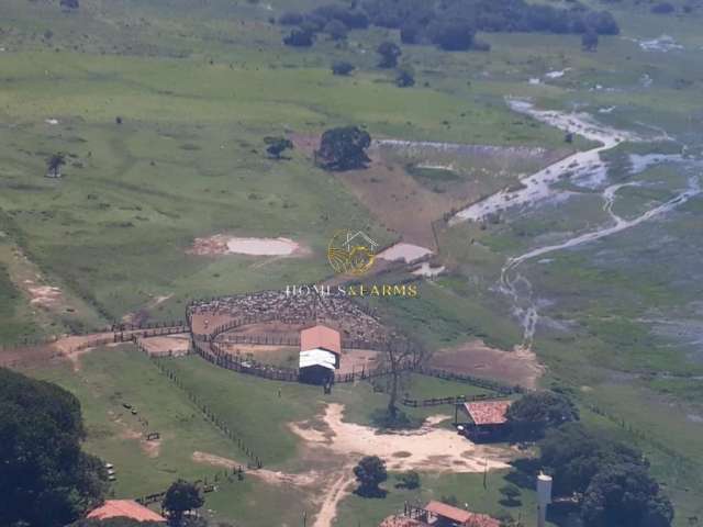 Fazenda a Venda no Pantanal de Poconé MT