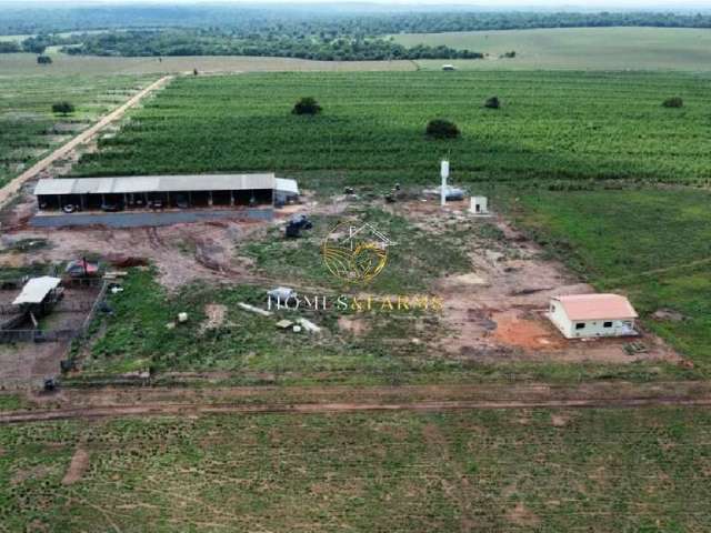 Fazenda em tangara da serra mt